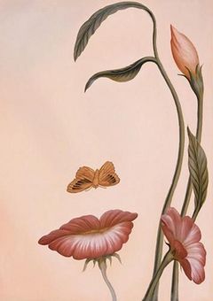 Immagine profilo di fiorellait